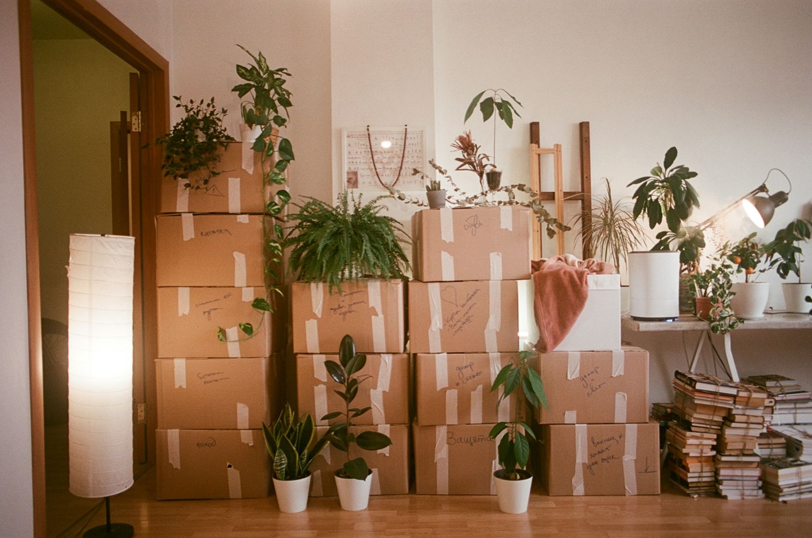 Packed and labeled moving boxes stacked in a home